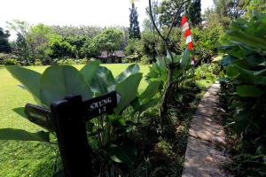 Zahrada ubytování Katumbiri Resort