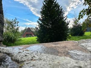 Zahrada ubytování C&R Lodge
