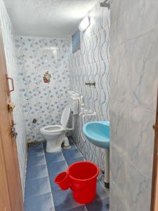 a bathroom with a toilet and a sink at ROYAL Homestay in Salem
