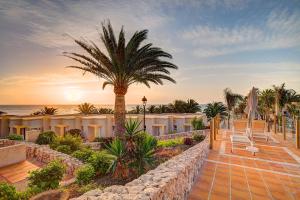 un complejo con una palmera y el océano en SBH Monica Beach Resort, en Costa Calma