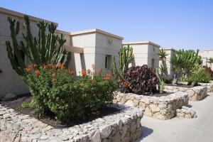 a garden area with a stone wall and a house at SBH Monica Beach Resort in Costa Calma