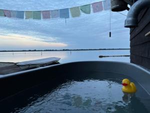 Fotografie z fotogalerie ubytování Houseboot Cormorant, lake view v destinaci Biddinghuizen