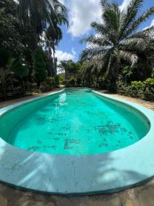 a swimming pool in a resort with a palm tree in the background at Villa vanessa in Malindi