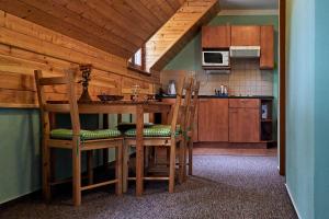 a kitchen with a table and chairs in a room at Penzion pod Stráni in Malá Morávka