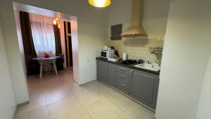 a kitchen with a sink and a counter top at DD Studio Deluxe in Sibiu +21 photos