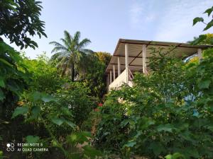 a house in the middle of some trees at Chez Yaya, chambre bleue in Oussouye