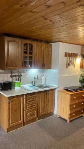 a kitchen with wooden cabinets and a sink at Drevenica u Porubäna in Jakubovany