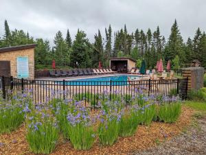 a garden with purple flowers and a swimming pool at Tremblant Mountain Chalets in Lac-Superieur