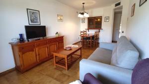 TV a/nebo společenská místnost v ubytování Apartaments Les Dunes