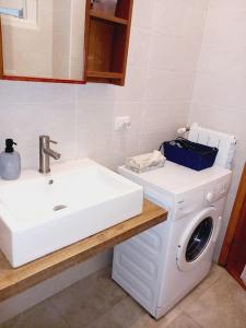 een badkamer met wastafel en wasmachine bij Home sweet Home Rita in Lecco