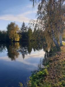 a reflection of a tree in a lake at Maison de charme avec jardin au bord de l'Eure in Le Vaudreuil