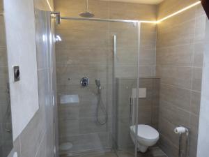 a bathroom with a shower with a toilet and a sink at La demeure Flieg in Cernay