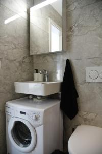 Vannituba majutusasutuses Charming studio with terrace 5 minutes from Murten