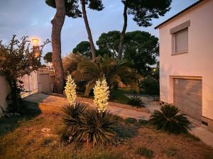 Vonkajšia záhrada v ubytovaní Casa la Pineda Salou, playa y Port Aventura