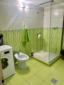 a bathroom with a washing machine and a sink at Cabana Baraj Apuseni Mountains in Mihoeşti