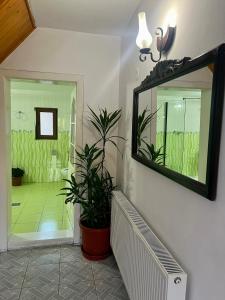 a mirror on the wall of a bathroom with a plant at Cabana Baraj Apuseni Mountains in Mihoeşti +37 photos