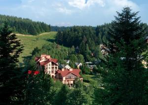 a house on the side of a hill with trees at СПА-Готель "RESPECT" in Skhidnitsa