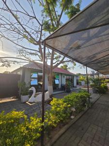 Taman di luar Bianca's