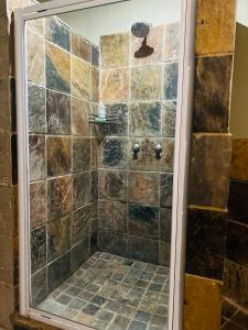 a shower with a glass door in a bathroom at Bartons folly rose guesthouse in Hekpoort +35 photos