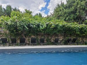 a row of chairs next to a wall with vines at La Bellours Maison d Hôtes avec Piscine in Cahors