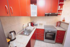 Kuchyň nebo kuchyňský kout v ubytování Anika apartment