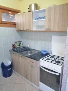 a kitchen with a stove and a sink at Békény Kulcsosház in Gheorgheni
