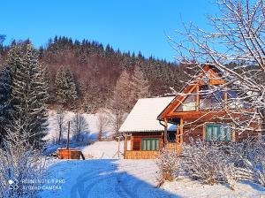 a wooden house in the snow with a mountain at Căsuța de la munte in Bistriţa