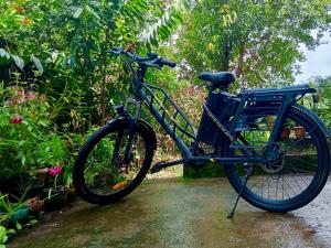 Jízda na kole v ubytování Happy Moon Homestay nebo okolí