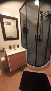 a bathroom with a shower and a sink and a mirror at apartmani G&M in Bibinje +107 photos