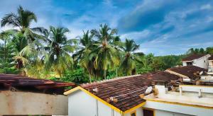 Foto Candolimis asuva majutusasutuse Cozy 1BHK Candolim beachgoa galeriist