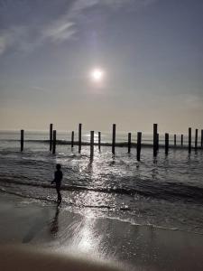 Afbeelding uit fotogalerij van Het Zeepaardje Petten aan Zee in Petten