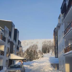 Sunčani breg resort & spa v zimě