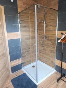 a shower with a glass enclosure in a bathroom at Na břehu Těrlicka in Horní Těrlicko