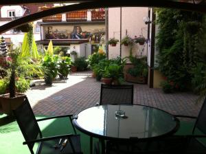 a glass table and chairs on a patio with plants at Pension Borna in Borna
