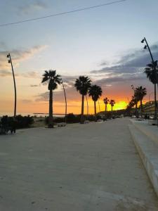 a beach with palm trees and a sunset in the background at La casa di Biu in Gela +13 photos