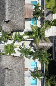 une vue aérienne d'un bâtiment avec des palmiers dans l'établissement Mahalo Boutique B&B, à Popoyo