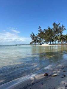 a body of water with trees and a beach at Casa Praia seca!100 Metros Da Praia!Com Piscina! in Araruama