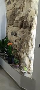 Kép All inBasilicata Bed & Breakfast szállásáról Baragiano városában a galériában