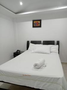 Postel nebo postele na pokoji v ubytování Hotel La Leyenda Vallenata