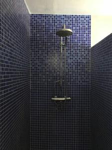 ノワールムーティエにあるMaison pecheur dans le banzeauの青いタイル張りのバスルーム(照明付きシャワー付)