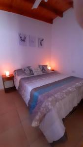 a bedroom with a large bed with two lamps on it at Vista a la montaña in Chilecito