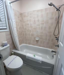 a bathroom with a toilet and a bath tub with a toilet at Alpine Motel in Hope