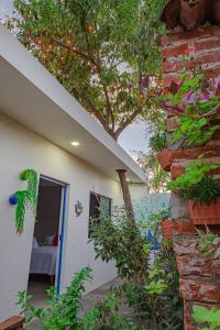 Zahrada ubytování Hostal Casa Morada