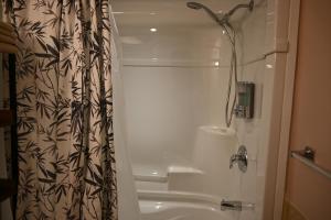 e bagno con tenda doccia e vasca. di Elgin Suite a Niagara Falls