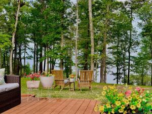 Phong cảnh thiên nhiên gần khu cắm trại