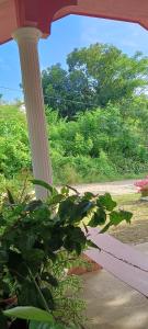 a porch with a white column and a plant at RM Homestay in Siquijor +16 photos