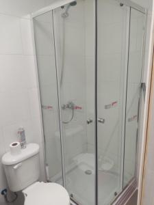 a bathroom with a shower and a toilet at cabañas los flamencos A in Punta Arenas +24 photos