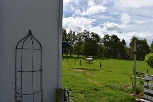 Zahrada ubytování BnB on Bakers