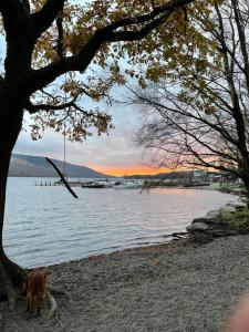 Gallery image of Church View Apartment in Coniston