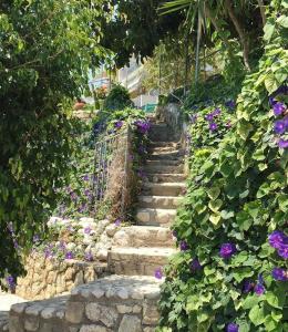 A garden outside Rosa's Beach Studios